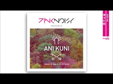 Pink Noisy - Ani Kuni (Anthony El Mejor & DJ Nil Remix)