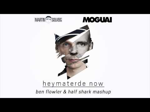 Martin Solveig vs. Moguai - HEYmaterde Now (Half Shark & Ben Flowler MashUp)