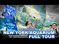 The Best Aquarium In New York