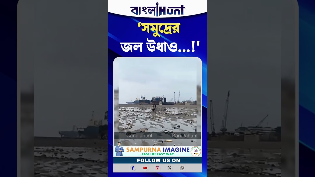 সমুদ্রের জল উধাও! শুকিয়ে গেল বিস্তীর্ণ উপকূল, আর্জেন্টিনায় বিরল দৃশ্য
