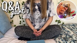 Q&A WITH 15+ PETS || answering your questions