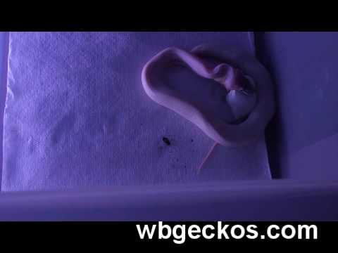 YouTube Video 89adgPME30s