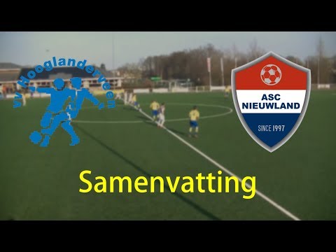 Samenvatting Hooglanderveen O19-1 - Nieuwland O19-1