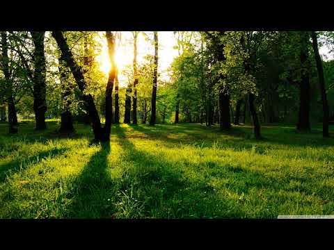 Marco Mc Neil - Rise & Fall [Sundance]