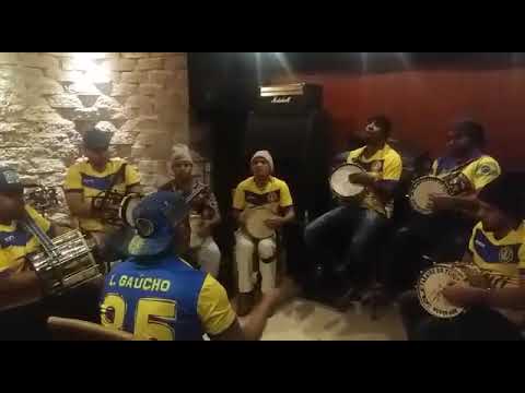 Cuícas 2019 Paraíso do Tuiuti