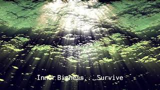 Inner Bigness - Survive