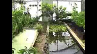 H.E.A.R.T. Institute (March 2014)