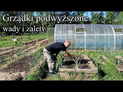 Grządki podwyższone - wady i zalety - Ogrodowe pierdamony 147