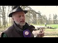 Heideboerderijen moeten natuur en extensieve landbouw weer verbinden: 'Cultuurlandschap Veluwe verk…