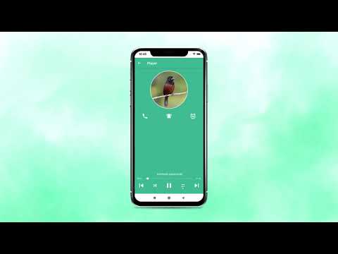 Bullfinch bird singing Video