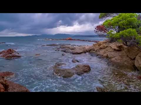 Gentle Waves on a Small White Rock Beach  - Relaxing Ocean Sounds