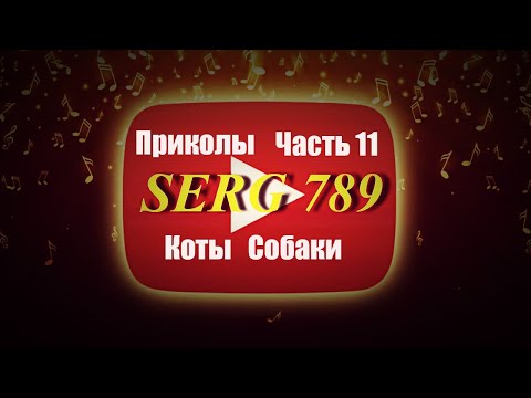 🔴Приколы Коты Собаки (Часть 11)✅ 🙂 👍 🐱 🐶