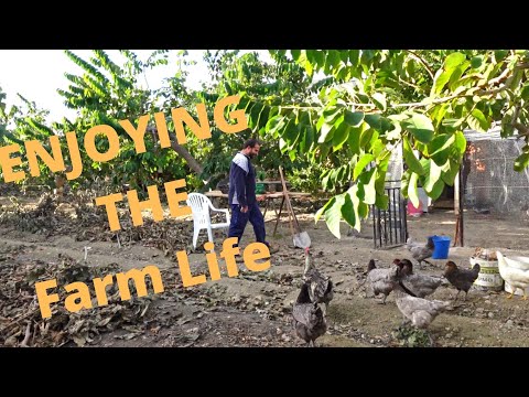 Farm Life in Costa Tropical