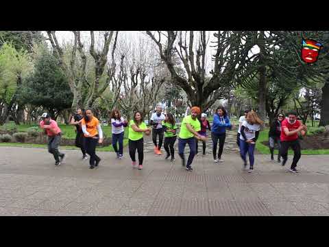 FITFOLK ® SELVA SHIPIBO  / COYHAIQUE