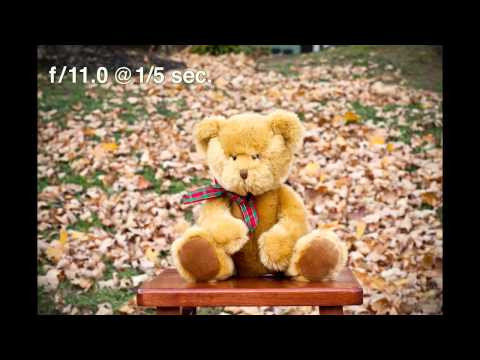 Shoot in Manual Mode Pt. 2 - A Visual Photography Tutorial