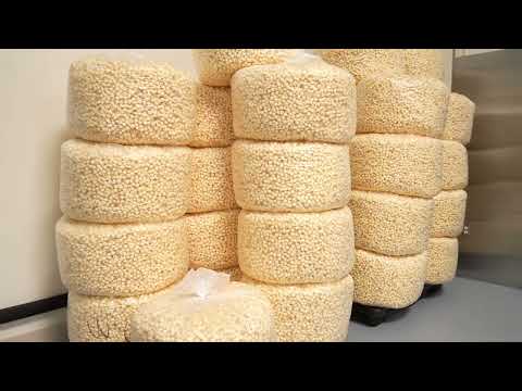 Deanan© Gourmet Popcorn factory full tour 2023