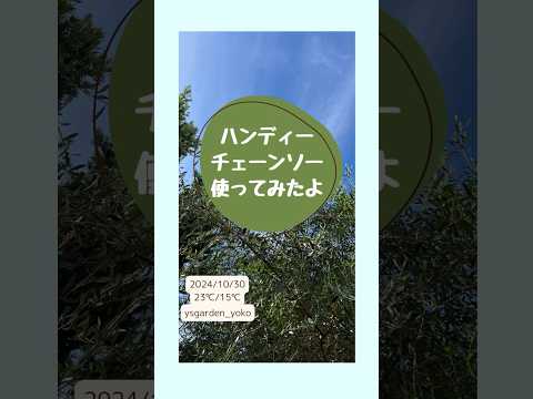 枝の細断の方法を知っておくと便利です。それを最大限に活用するにはどうすればよいでしょうか?  庭園
