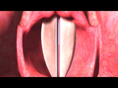 Sounds 🔉Production||Vocal Cords||Larynx||Physiology||