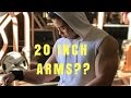 | BRUTAL VEIN POPPING ARM DAY| I WON'T BE OUTWORKED! |