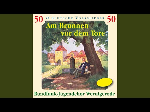 Jetzt fahrn wir übern See