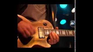 SNOWY WHITE   BIRD OF PARADISE