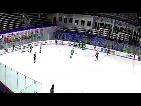 173 ESA 49 29 21 16 19