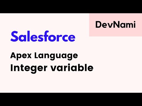 Salesforce Developer How to Use Integer Variable in Apex Language