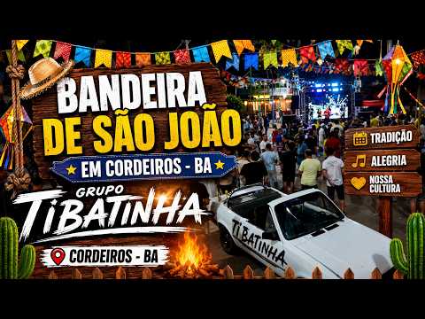 Bandeira São João - Ti Batinha Cordeiros BA