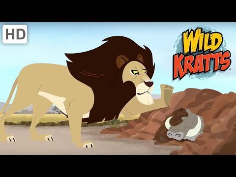 Wild Kratts - Animals You Shouldn't Mess With | Kids Videos