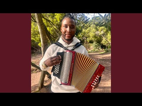 Louco Louco Mix 2025 (Live)