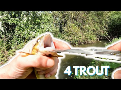 Insanely Simple Trout Fishing : Hook, Split Shot, and Worm - 4 Stunning Brown Trout in Ireland