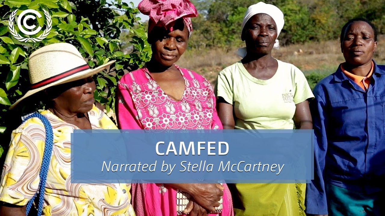 CAMFED | Narrated by Stella McCartney | UN Climate Change
