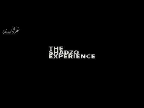 The ShadzO Experience  (Amapiano Vs Commercial House Edition)