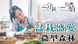 盆栽盛愛 - 微型森林