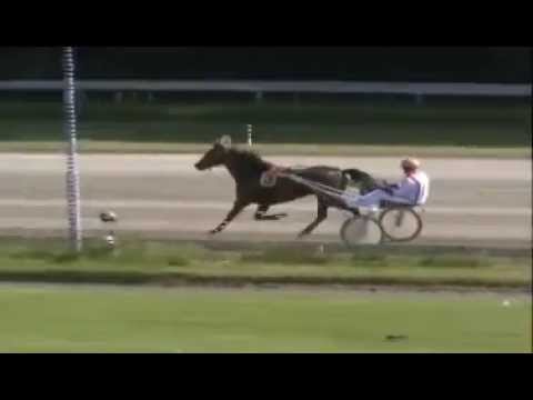 2013 Duindigt's Derby Trial Merries - Dacey Boko (Bas Crebas)