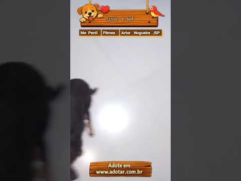 Vídeo de Luna e sol