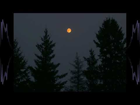 LIE AND TELL ME WHY (Prod.HXRXKILLER)