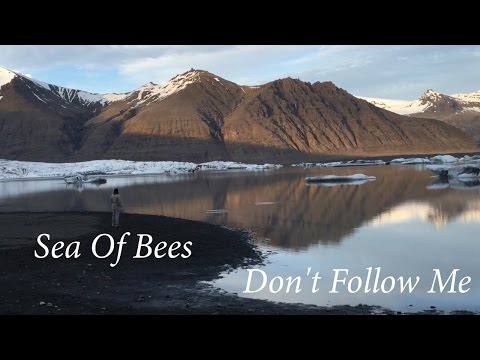Sea Of Bees - Don't Follow Me (Official Video)