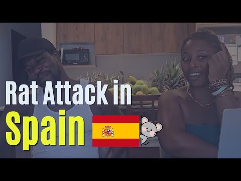 What Had Happened In Spain | FroFamilyTravels