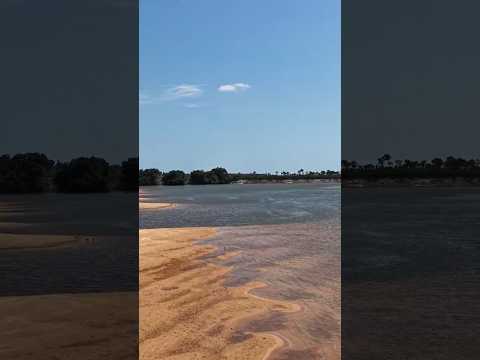 ​¡Cumaribo es GIGANTE!