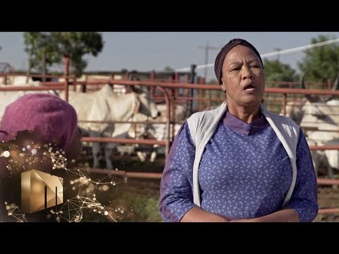 Banish Lerole! – The Throne | Mzansi Magic