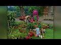 Barney Friends S6E16 How Does Your Garden Grow 2000 Internal Copy