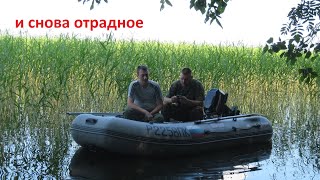 Рыболовные базы на отрадном озере