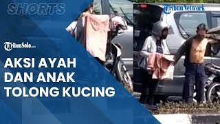 Viral Video Aksi Tolong Kucing Mati di Tepi Jalan, Ayah Buka Baju, Anak Lepas Kerudung