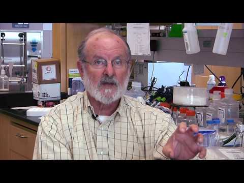 John Galgiani - Valley Fever