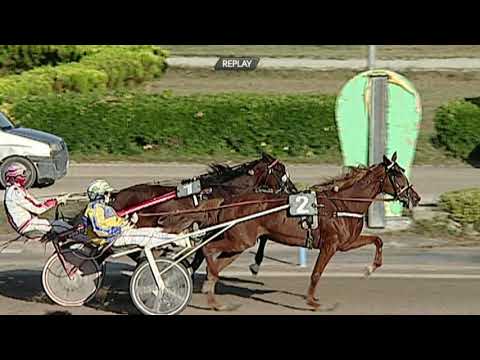 Aversa trotto 23 Settembre 2020 - 5° Corsa