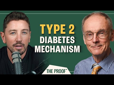 How Does Type 2 Diabetes Develop | The Twin Cycle Hypothesis | Roy Taylor | The Proof EP #287