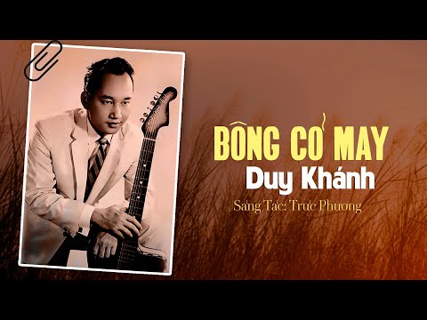 Bông cỏ may Sheet - Duy Khánh