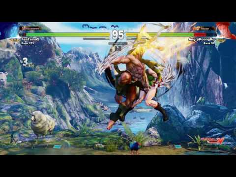 SFV~ Cammy (AngryPoongKo) vs. NeCalli (FenTamu5) HD
