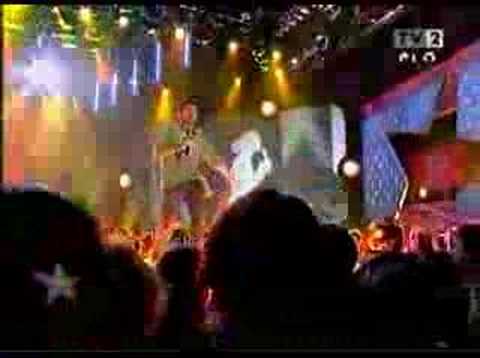 Palcsó Tamás - Could You Be Loved